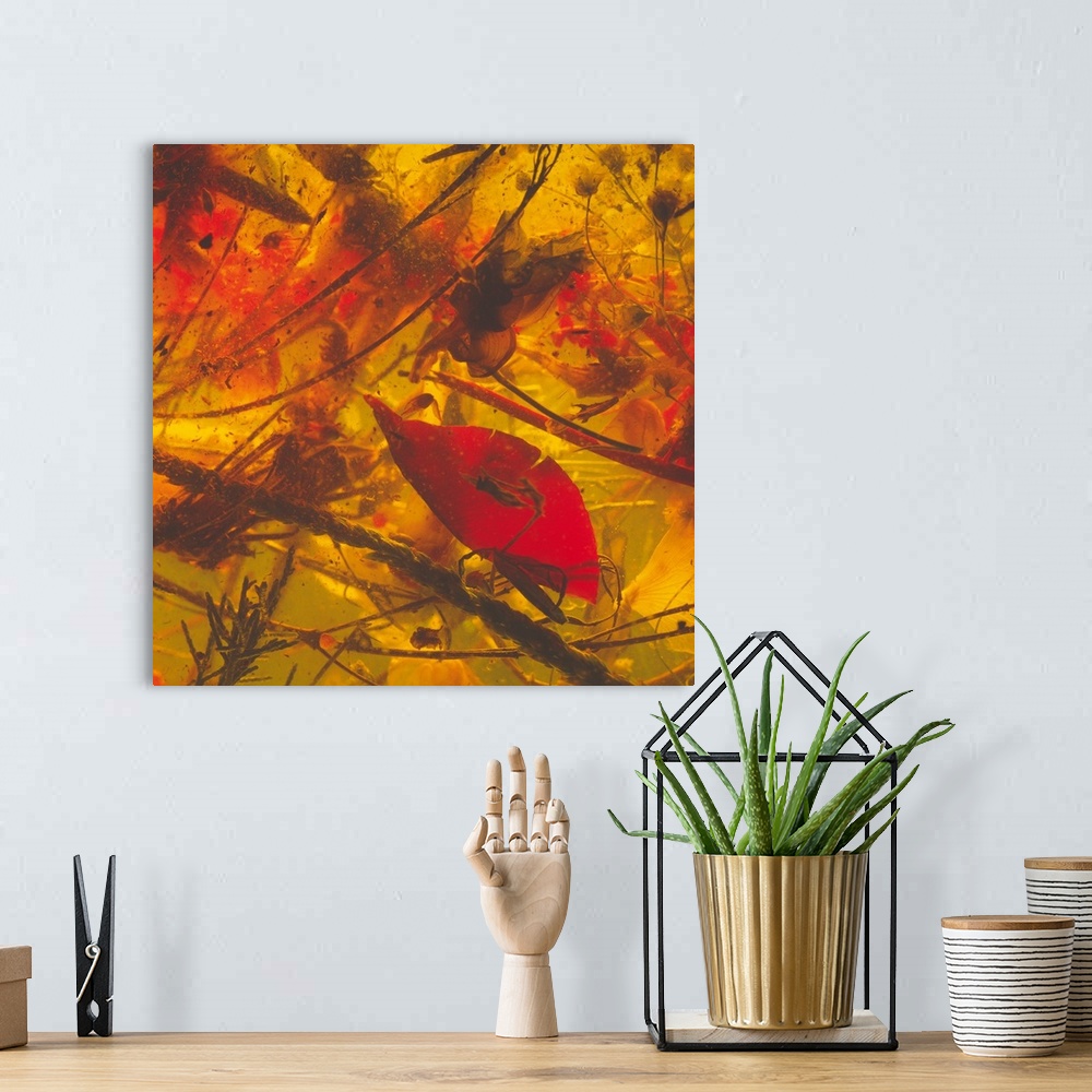 A bohemian room featuring Abstract compilation of plants and flowers in warm tones.