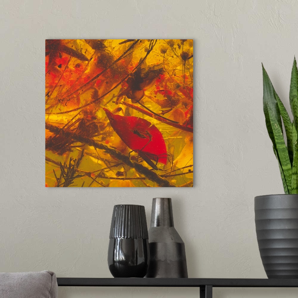 A modern room featuring Abstract compilation of plants and flowers in warm tones.