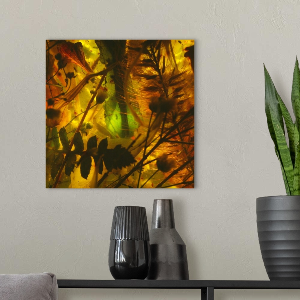 A modern room featuring Abstract Plants & Flowers Detail