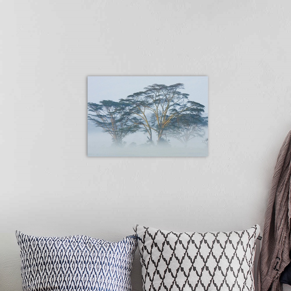 A bohemian room featuring Canvas photo art of African trees popping out of the early morning fog.