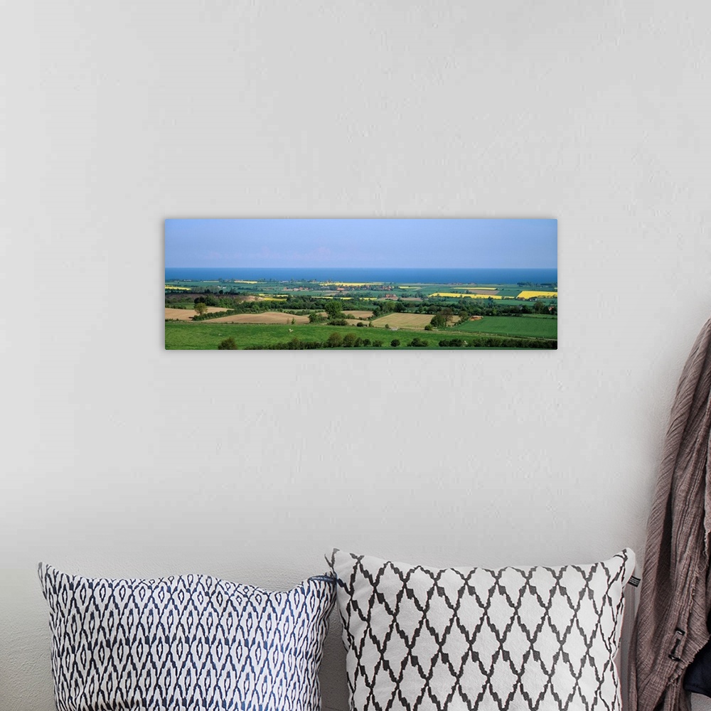 A bohemian room featuring Aerial view of a landscape and quickset hedge, Schleswig-Holstein, Germany