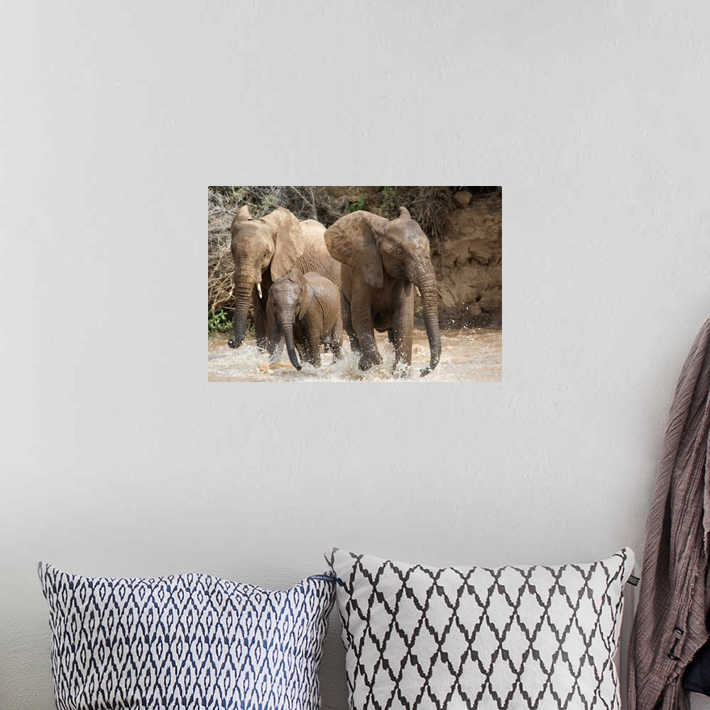 A bohemian room featuring Wall docor of three elephants having fun and splashing in water in African.