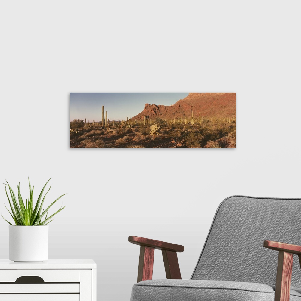 A modern room featuring Alamo Canyon Organ Pipe Cactus National Park AZ