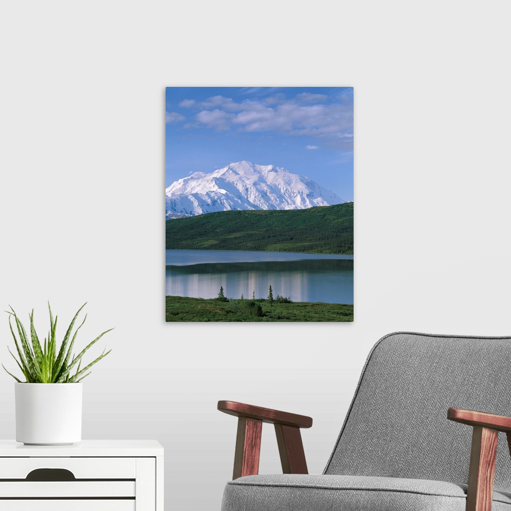 A modern room featuring Alaska, Mount McKinley, Wonder Lake, Panoramic view of the mountain and lake
