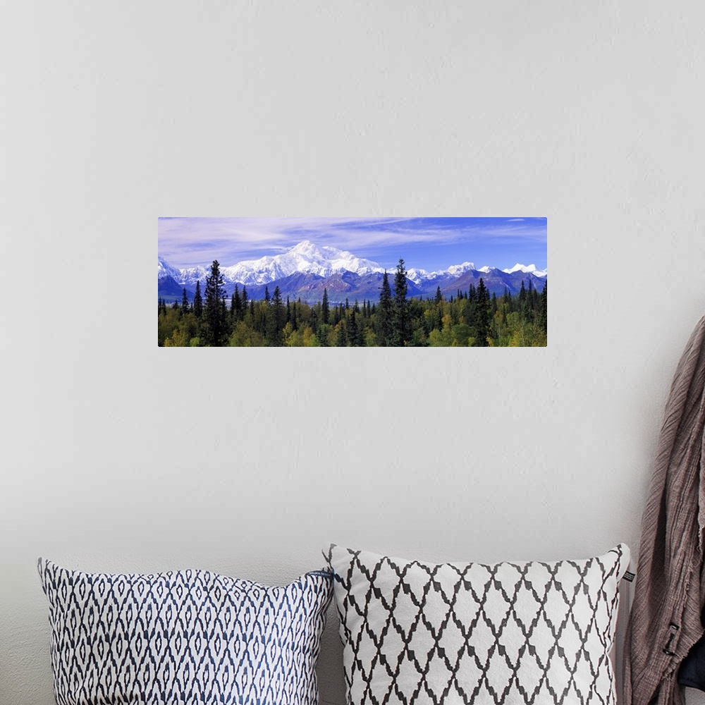 A bohemian room featuring The worlds highest mountain, formerly known as Mt. McKinley, is a stunning landmark in the Alaska...