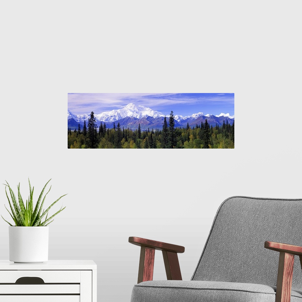 A modern room featuring The worlds highest mountain, formerly known as Mt. McKinley, is a stunning landmark in the Alaska...