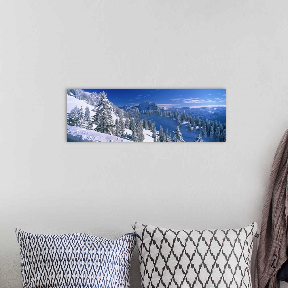 A bohemian room featuring This photograph is taken on the snow covered mountain of the downward slope that is covered with ...
