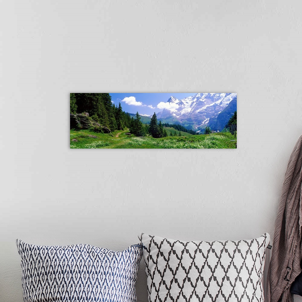 A bohemian room featuring Panoramic photograph shows an open landscape atop a mountain within Europe that is bordered and s...