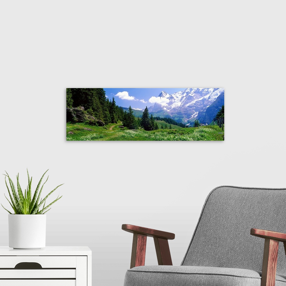 A modern room featuring Panoramic photograph shows an open landscape atop a mountain within Europe that is bordered and s...