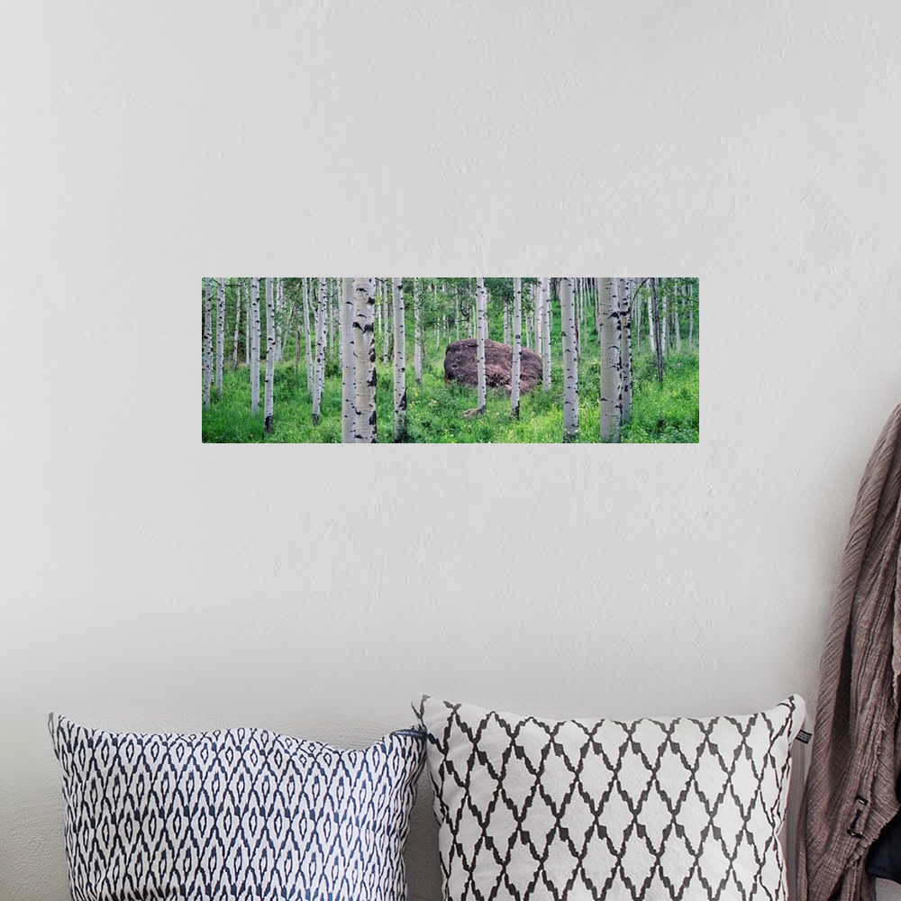 A bohemian room featuring This is wall art of a boulder resting in a forest, surrounded by grass in a panoramic landscape p...