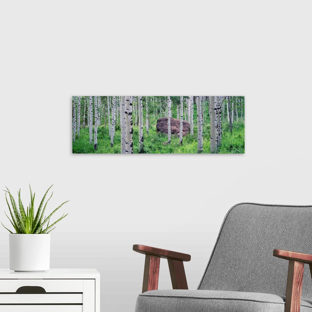 A modern room featuring This is wall art of a boulder resting in a forest, surrounded by grass in a panoramic landscape p...