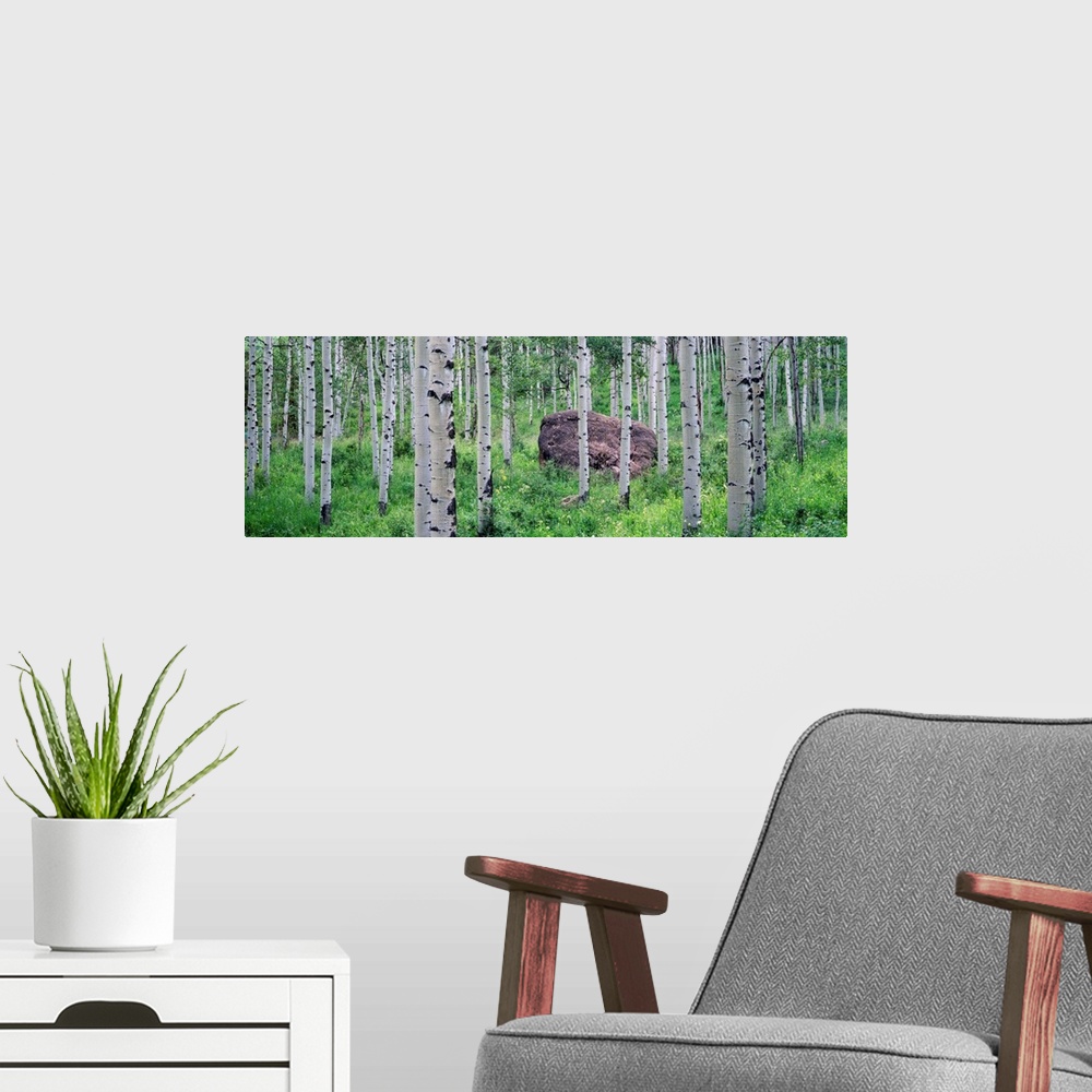 A modern room featuring This is wall art of a boulder resting in a forest, surrounded by grass in a panoramic landscape p...