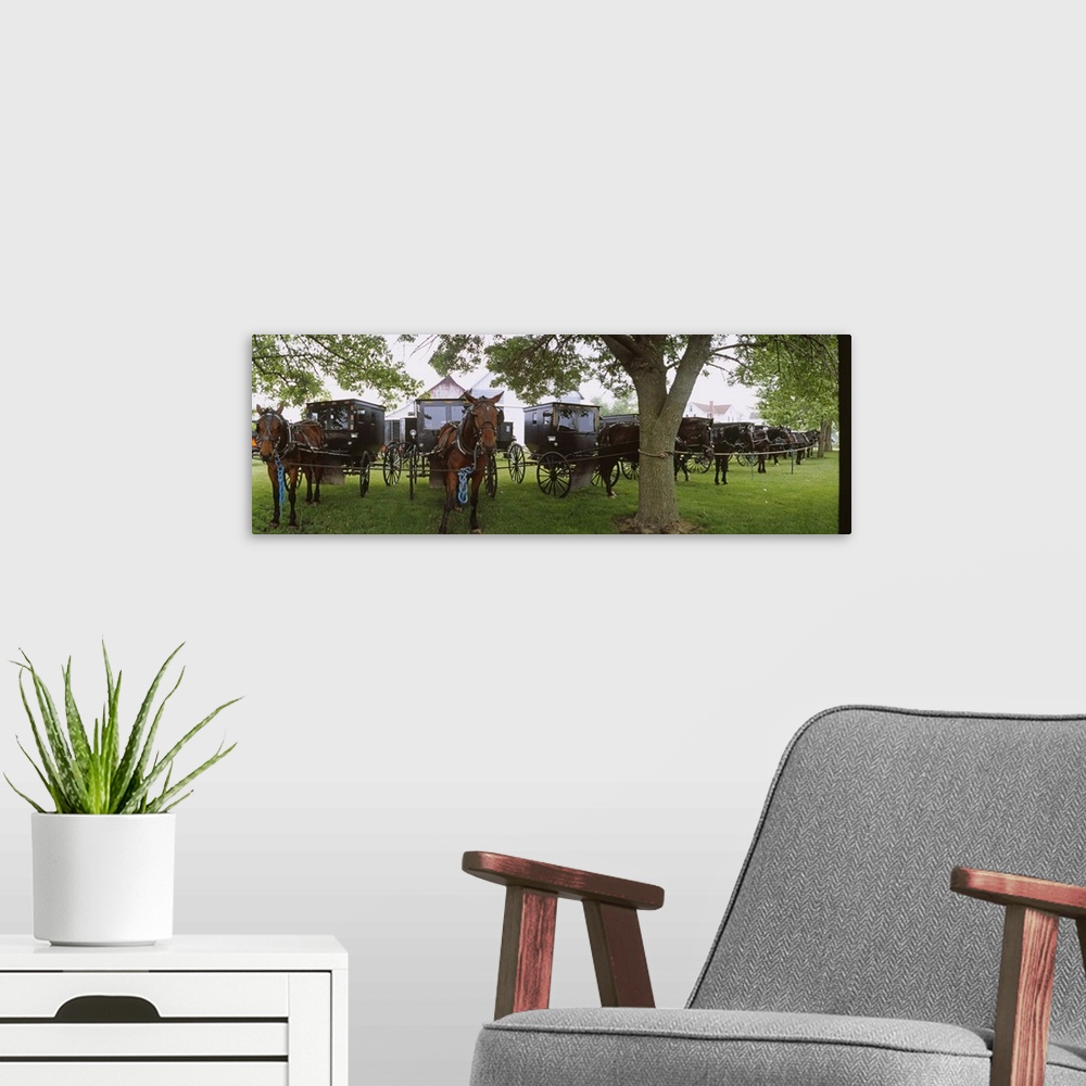 A modern room featuring Amish horses and buggies parked at a farm, Arthur, Illinois