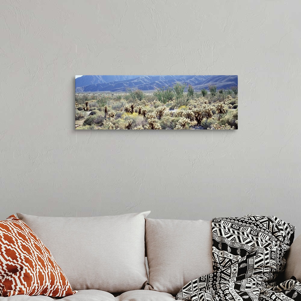 A bohemian room featuring Anza Borrego Desert State Park CA