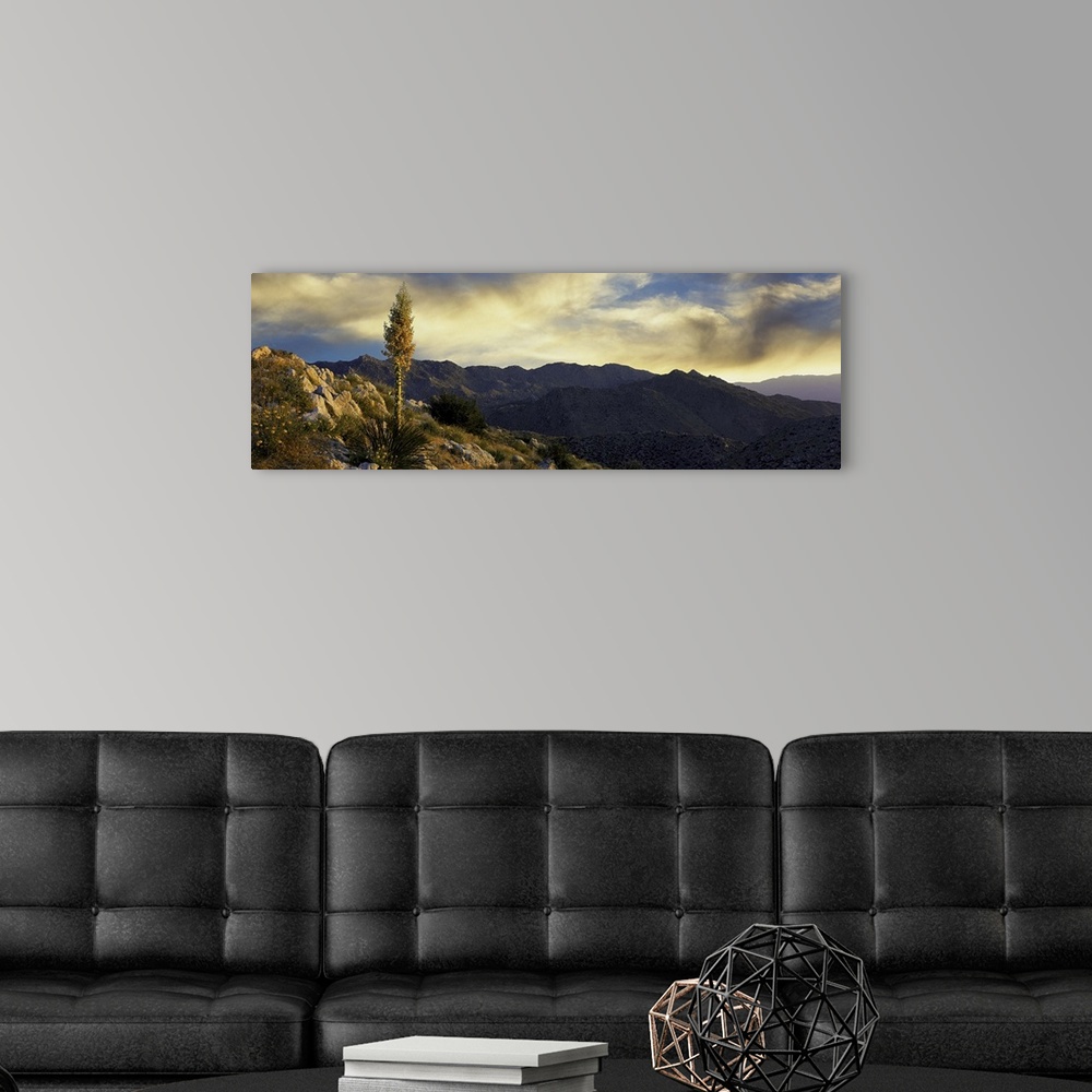A modern room featuring Clouds over Anza Borrego Desert State Park, San Diego County, California, USA