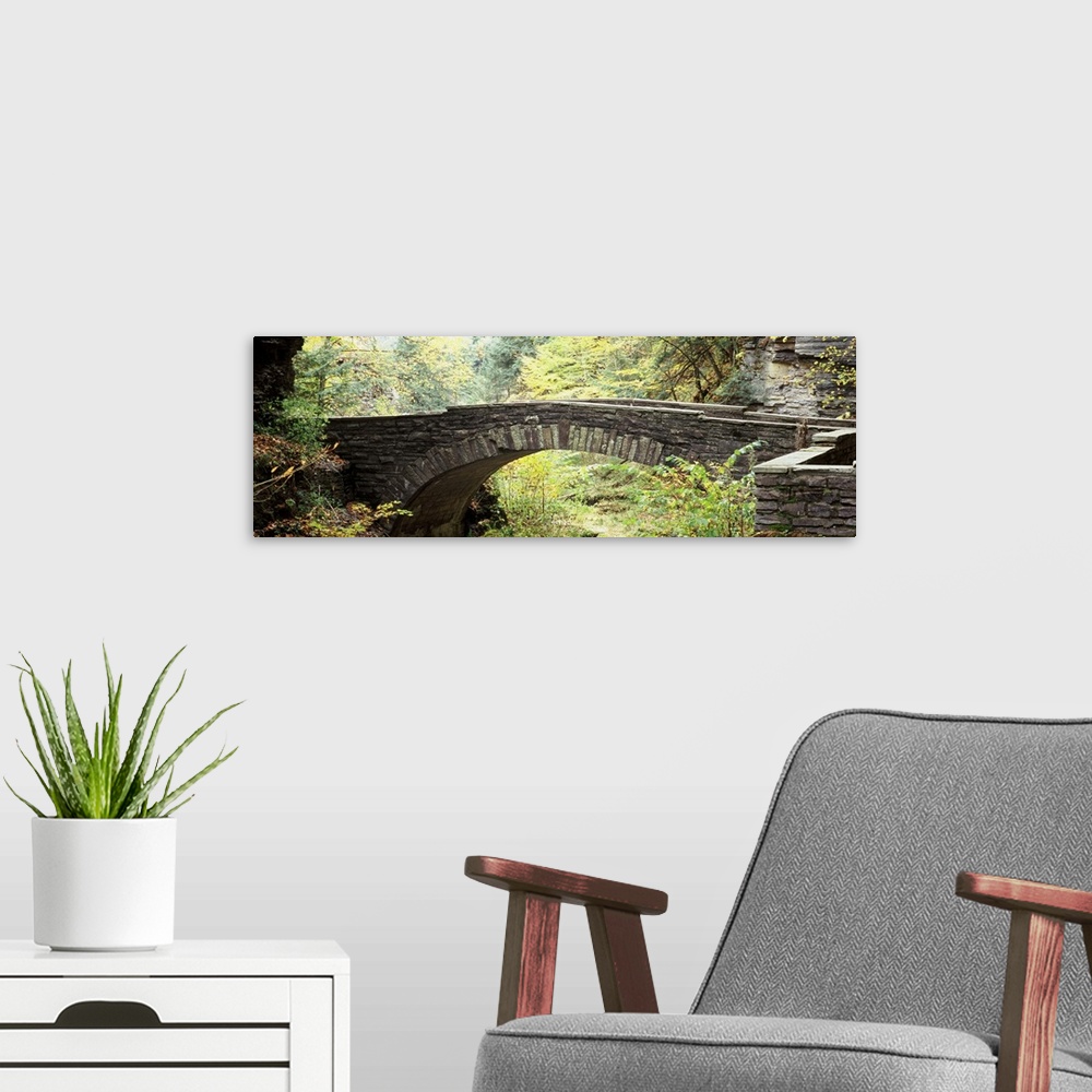 A modern room featuring Arch bridge in a forest Robert H. Treman State Park Ithaca Tompkins County Finger Lakes New York ...