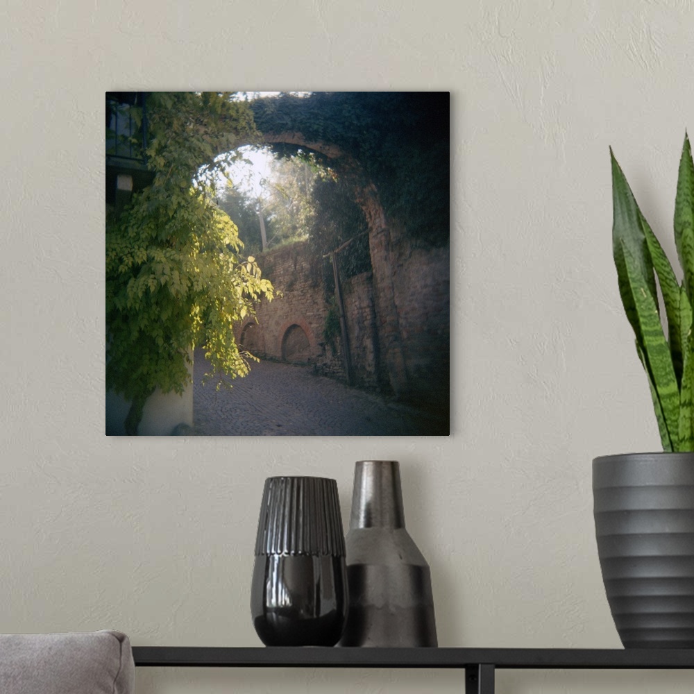 A modern room featuring Big canvas print of an old Italian street with vines growing on the bricks.