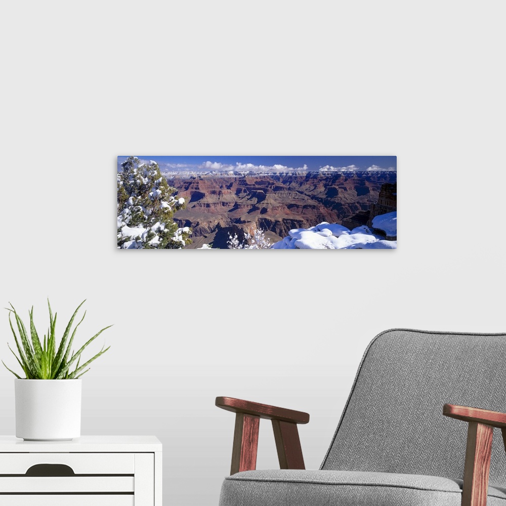 A modern room featuring A panoramic view of the snow caps of the Grand Canyon in winter, with a snow-covered tree in the ...