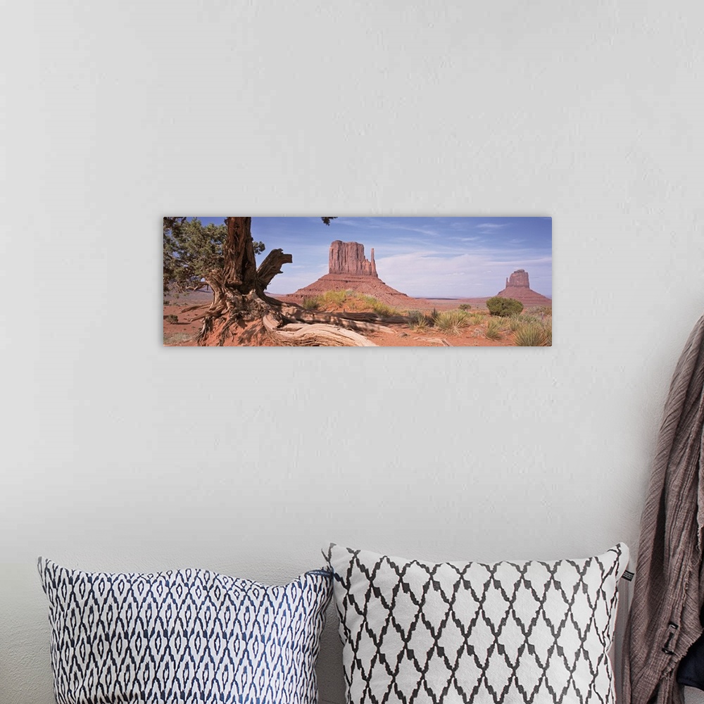 A bohemian room featuring Arizona, Monument Valley, Close-up of a gnarled tree with West and East Mitten
