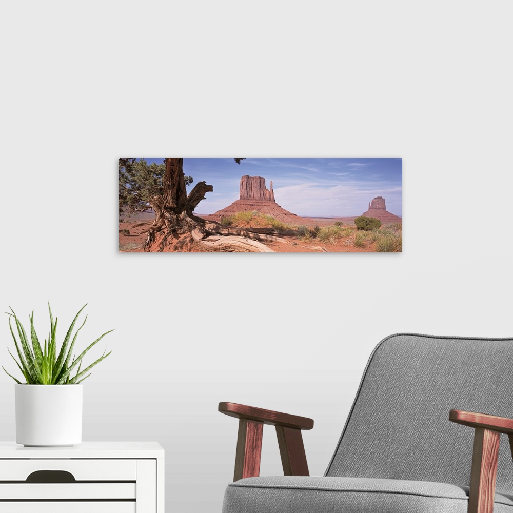 A modern room featuring Arizona, Monument Valley, Close-up of a gnarled tree with West and East Mitten