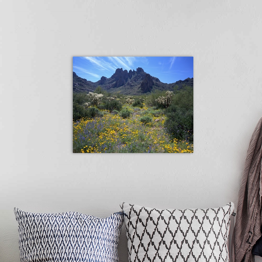 A bohemian room featuring This is a nearly square landscape photograph of a desert meadow filled with flowers, and a unique...