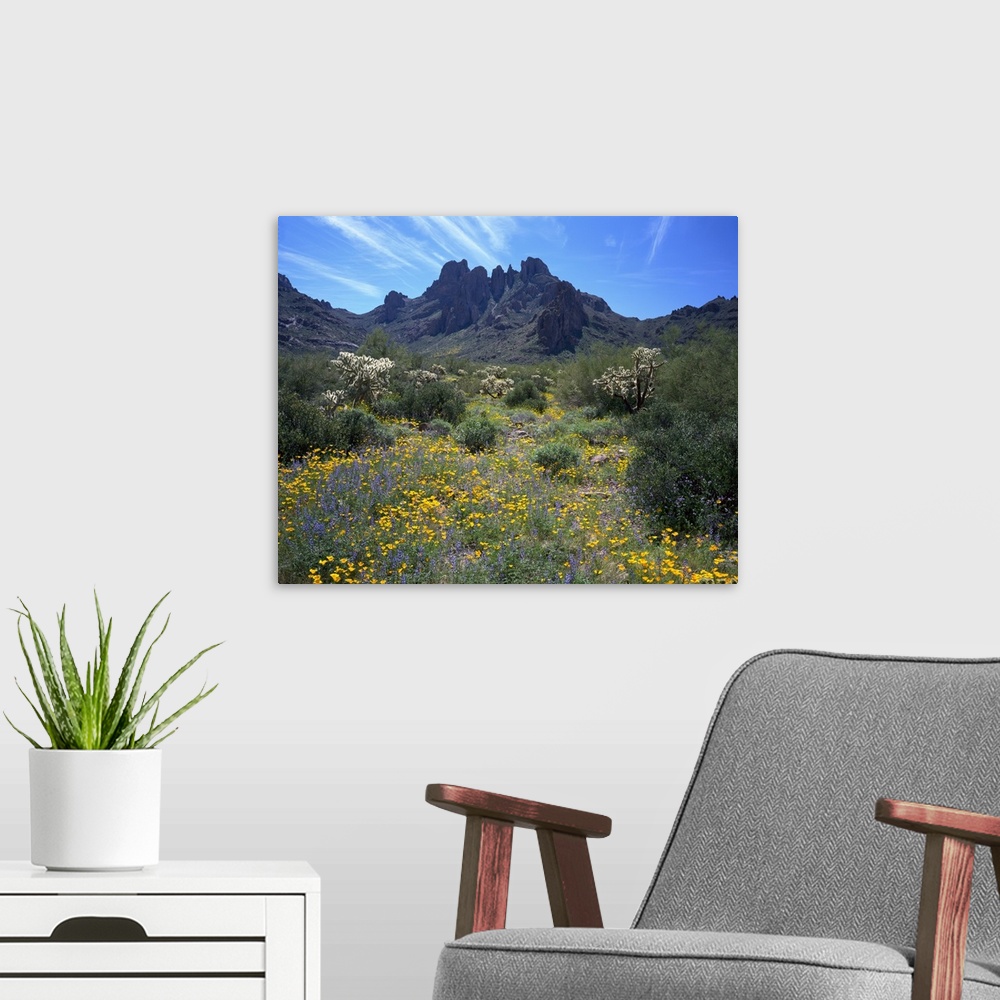 A modern room featuring This is a nearly square landscape photograph of a desert meadow filled with flowers, and a unique...