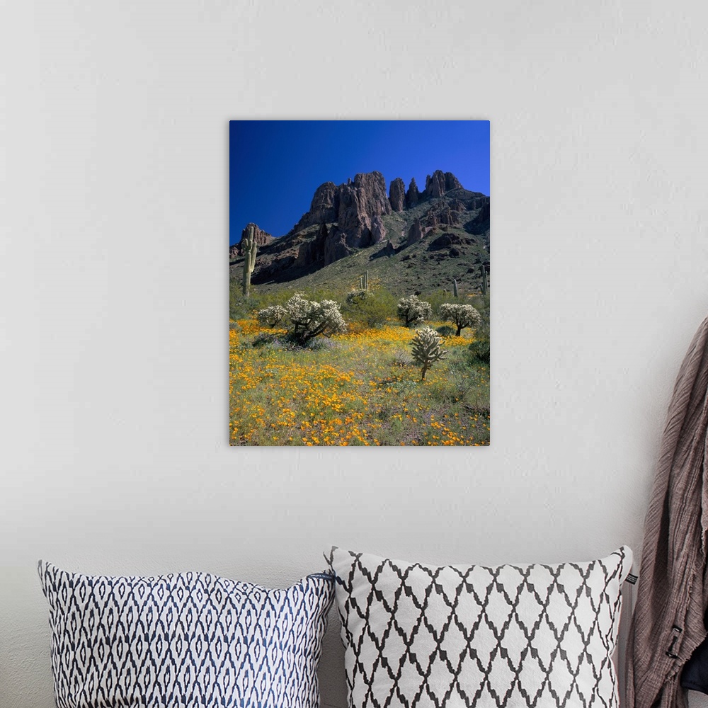 A bohemian room featuring Arizona, Organ Pipe Cactus National Monument, Wildflowers on the mountain