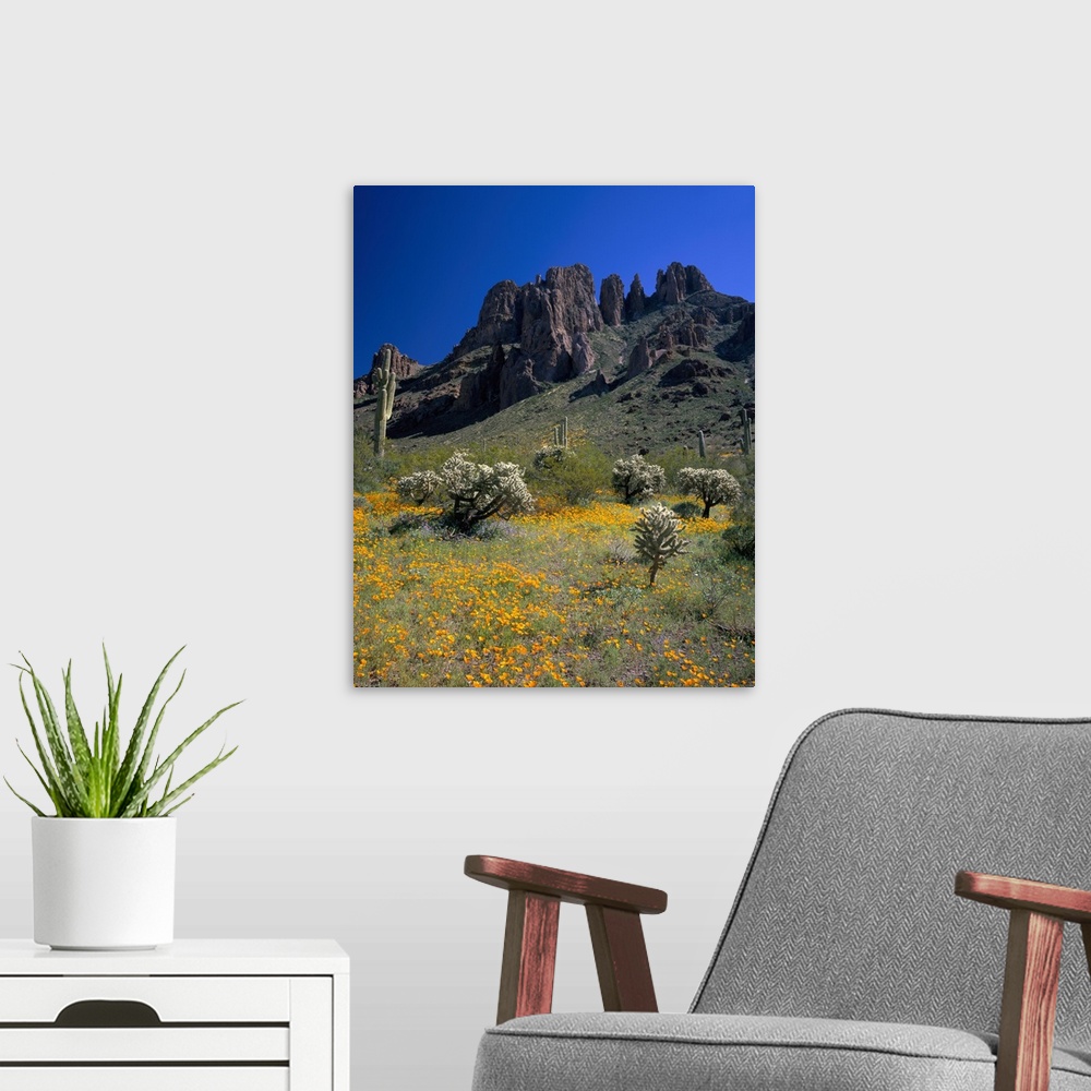 A modern room featuring Arizona, Organ Pipe Cactus National Monument, Wildflowers on the mountain