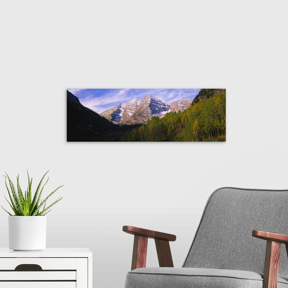 A modern room featuring Aspen trees in a forest with a mountain range in the background, Dallas Divide, San Juan Mountain...