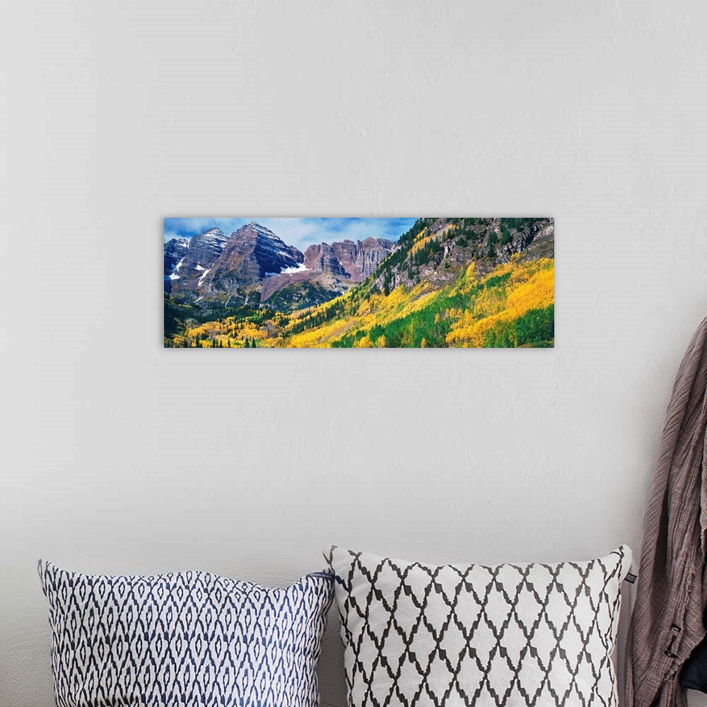 A bohemian room featuring Aspen trees in autumn with Maroon Bells, Elk Mountains, Pitkin County, Colorado