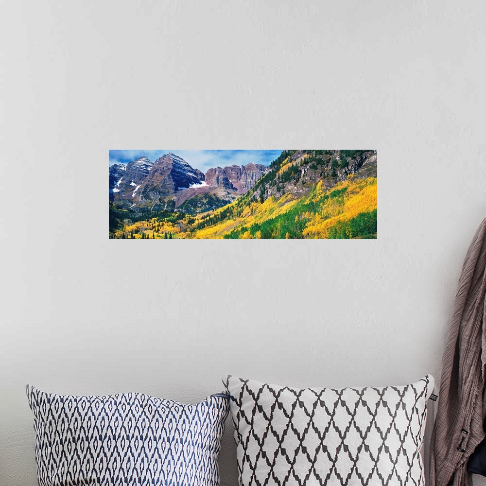 A bohemian room featuring Aspen trees in autumn with Maroon Bells, Elk Mountains, Pitkin County, Colorado