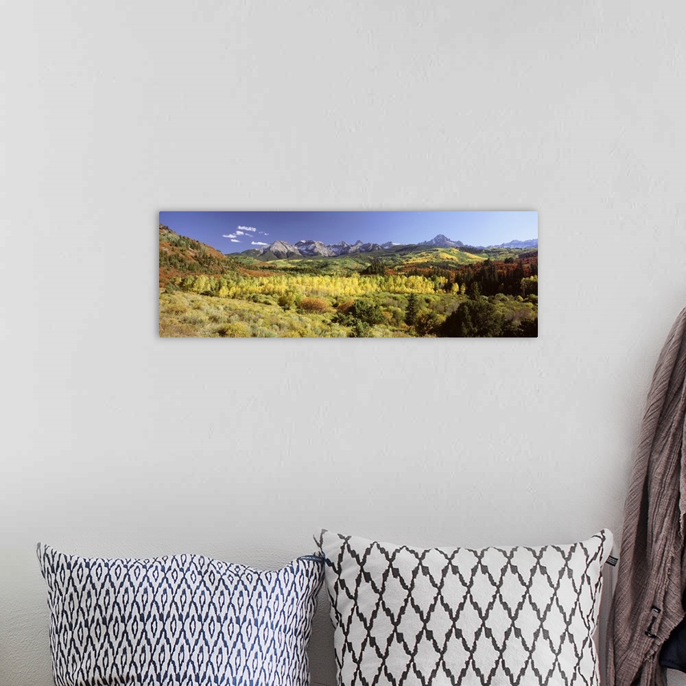 A bohemian room featuring Aspen trees on a landscape, Sneffels Range, Colorado