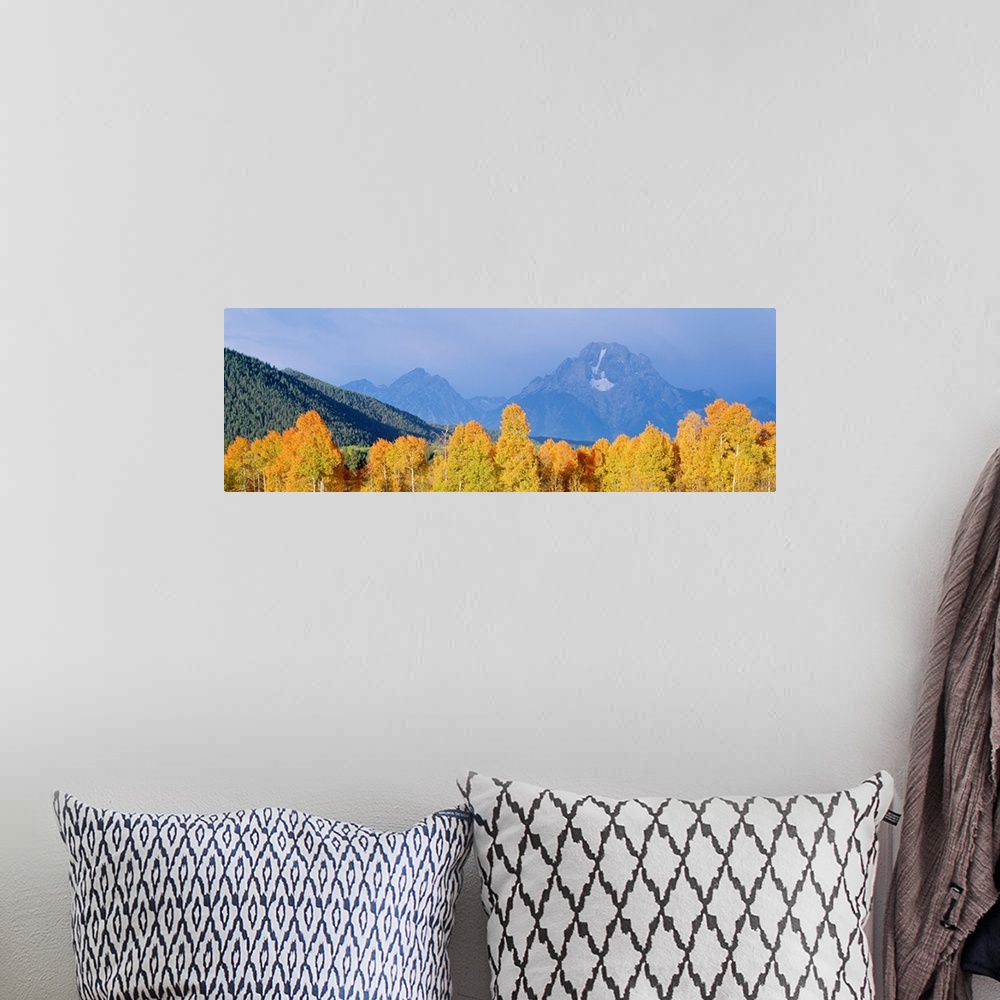 A bohemian room featuring Aspens Grand Teton National Park WY