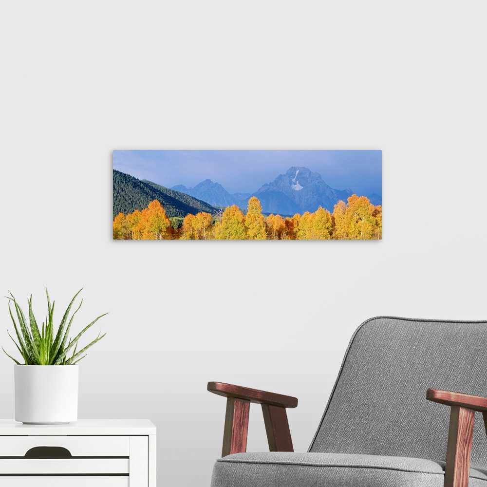 A modern room featuring Aspens Grand Teton National Park WY