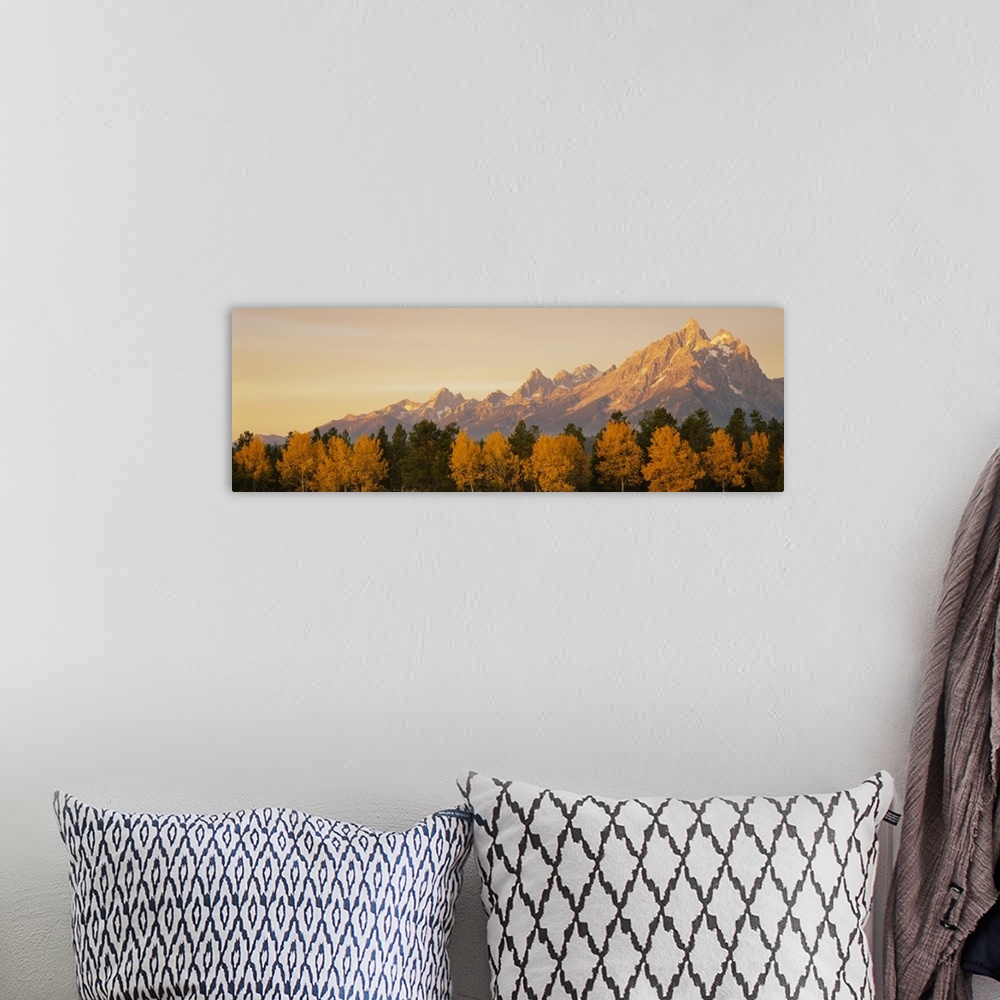 A bohemian room featuring Panoramic photograph of mountain range with forest tree tops in the foreground.