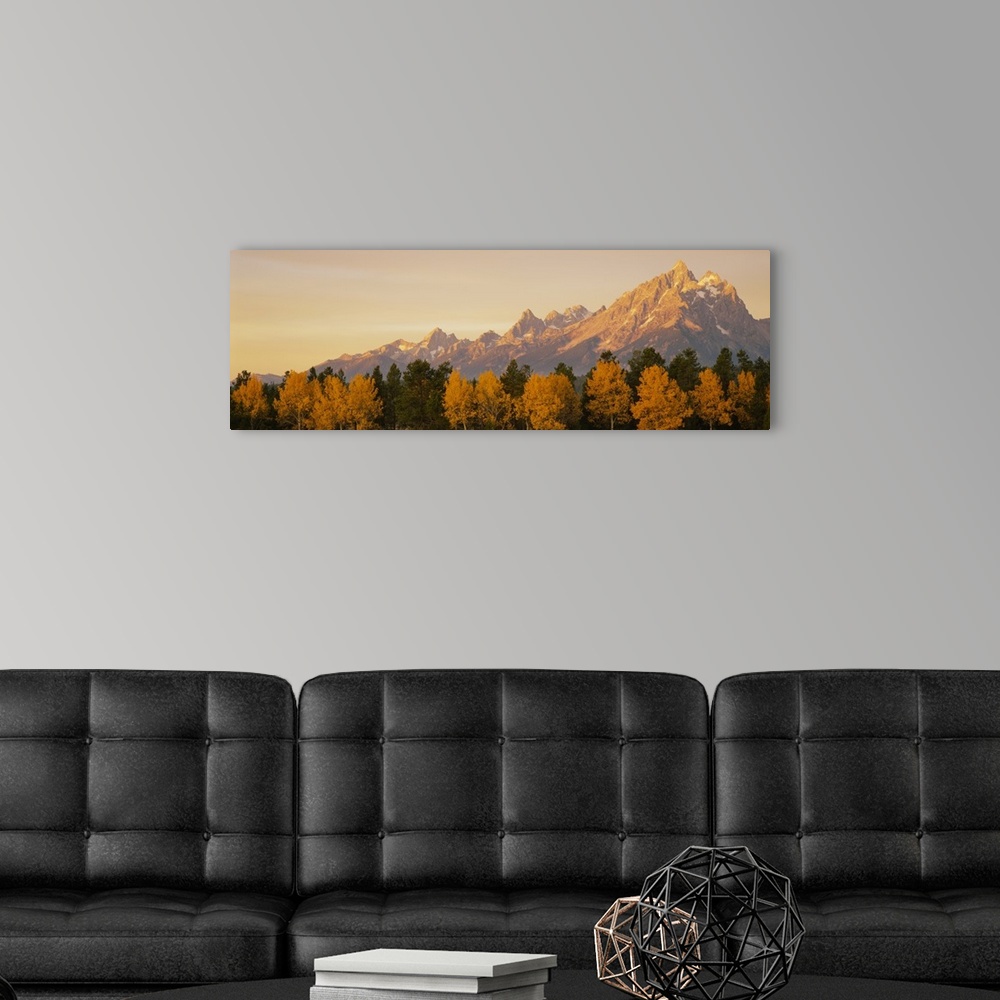 A modern room featuring Panoramic photograph of mountain range with forest tree tops in the foreground.