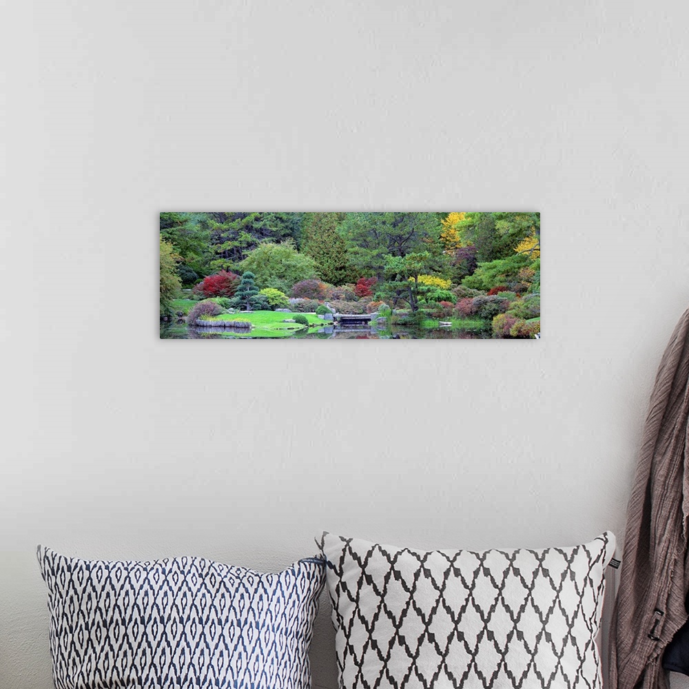 A bohemian room featuring Panoramic photograph taken of lush and dense foliage that grows behind a small body of water.