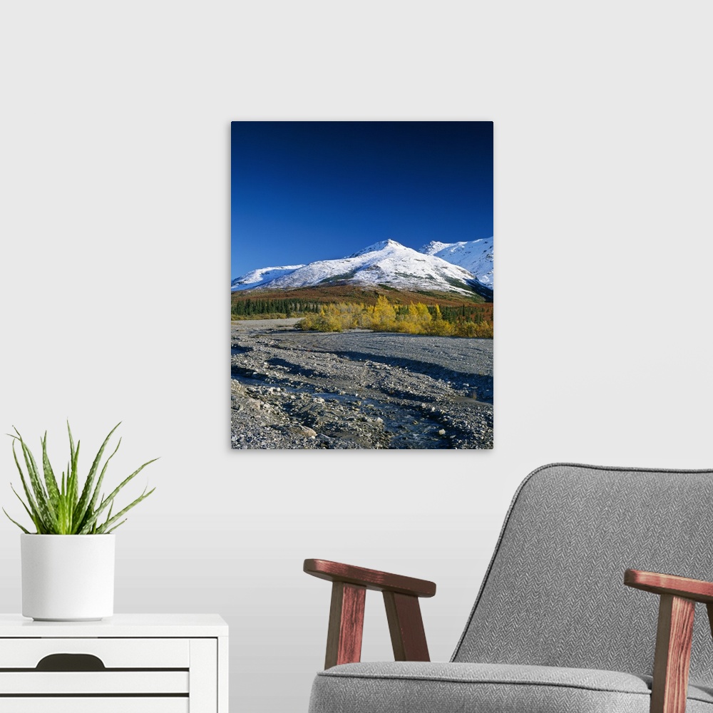 A modern room featuring Autumn color foliage along rocky river bed, snowy foothills, Denali National Park, Alaska
