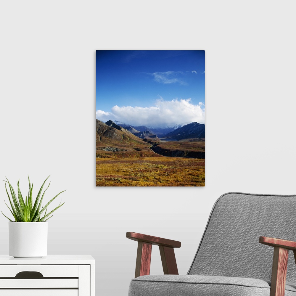 A modern room featuring Autumn color foliage of Toklat River Valley, clouds over distant Alaska Range, Denali National Pa...