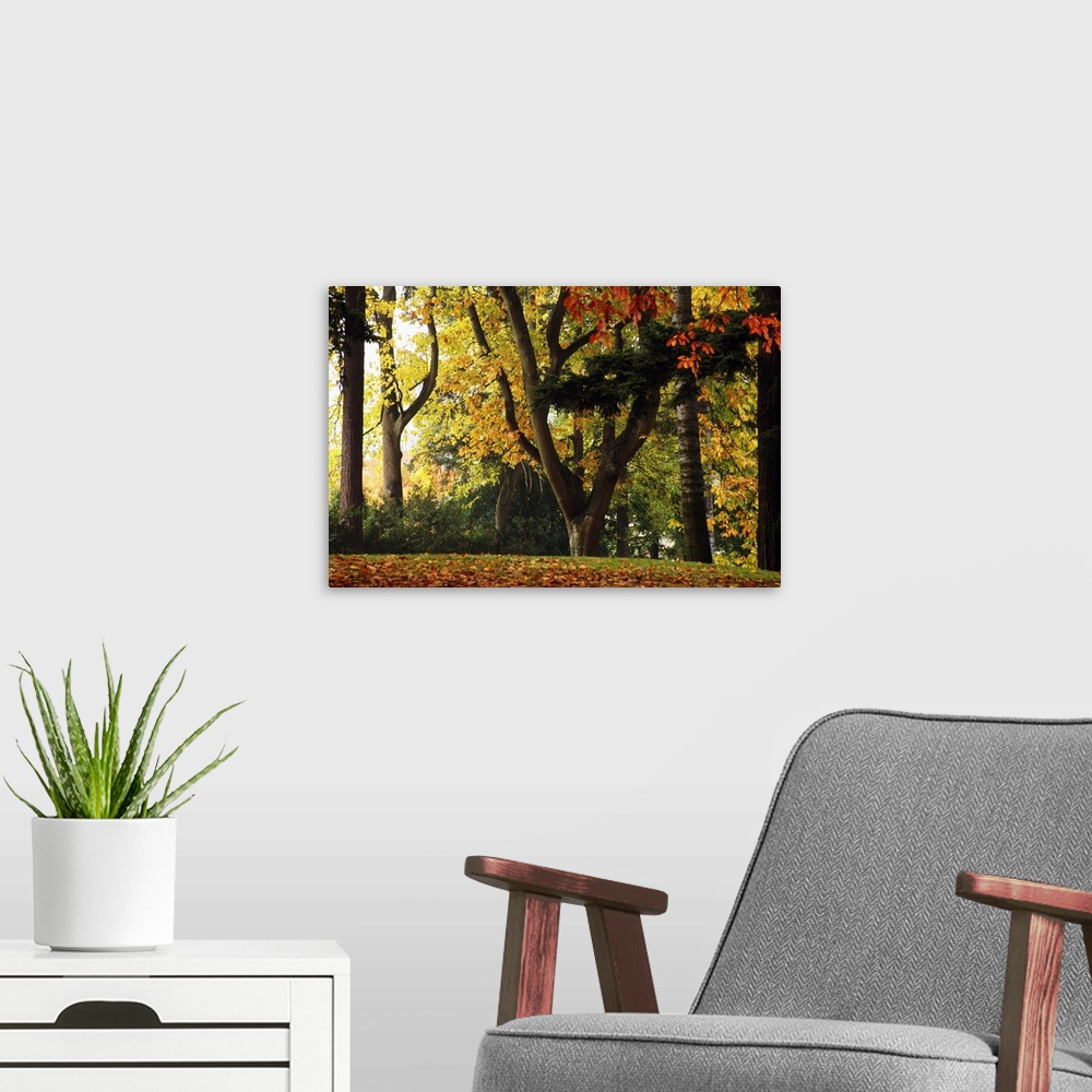 A modern room featuring This wall art is a square contemporary painting with an earthy, warm color palette and subtle gro...