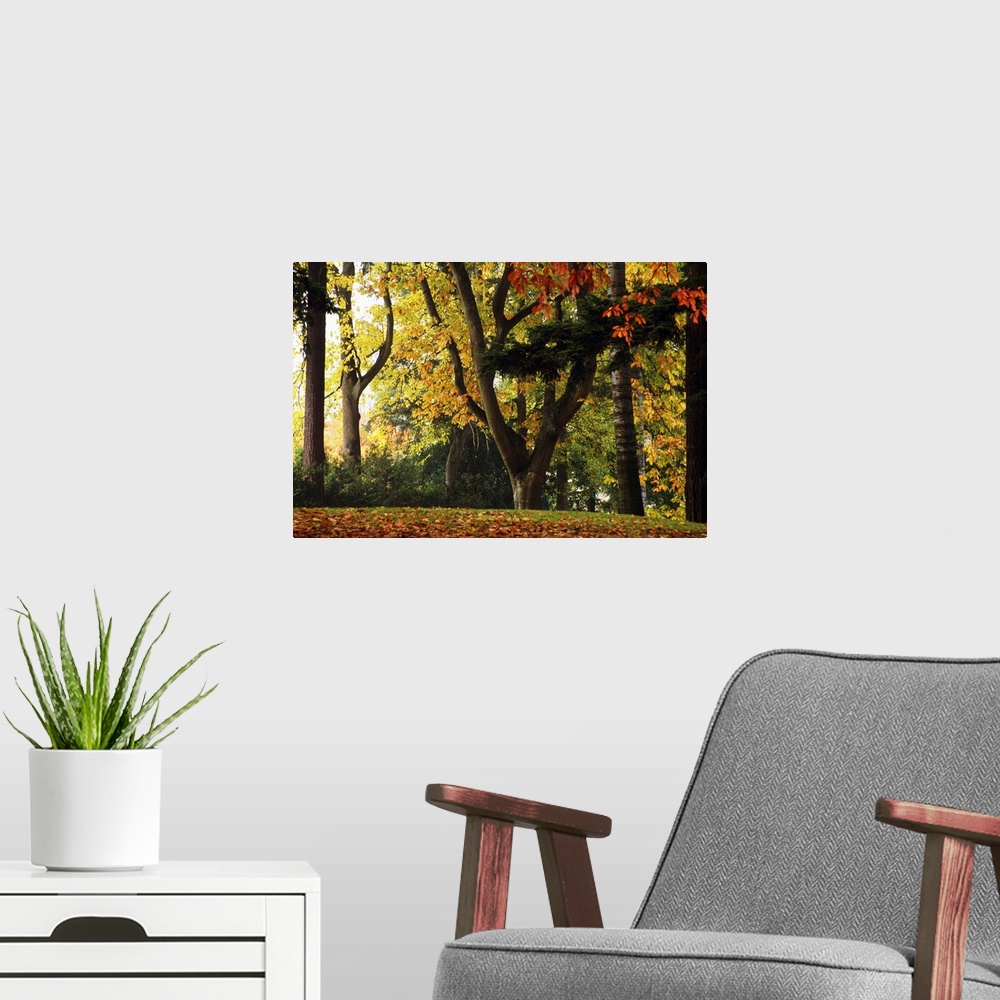 A modern room featuring This wall art is a square contemporary painting with an earthy, warm color palette and subtle gro...