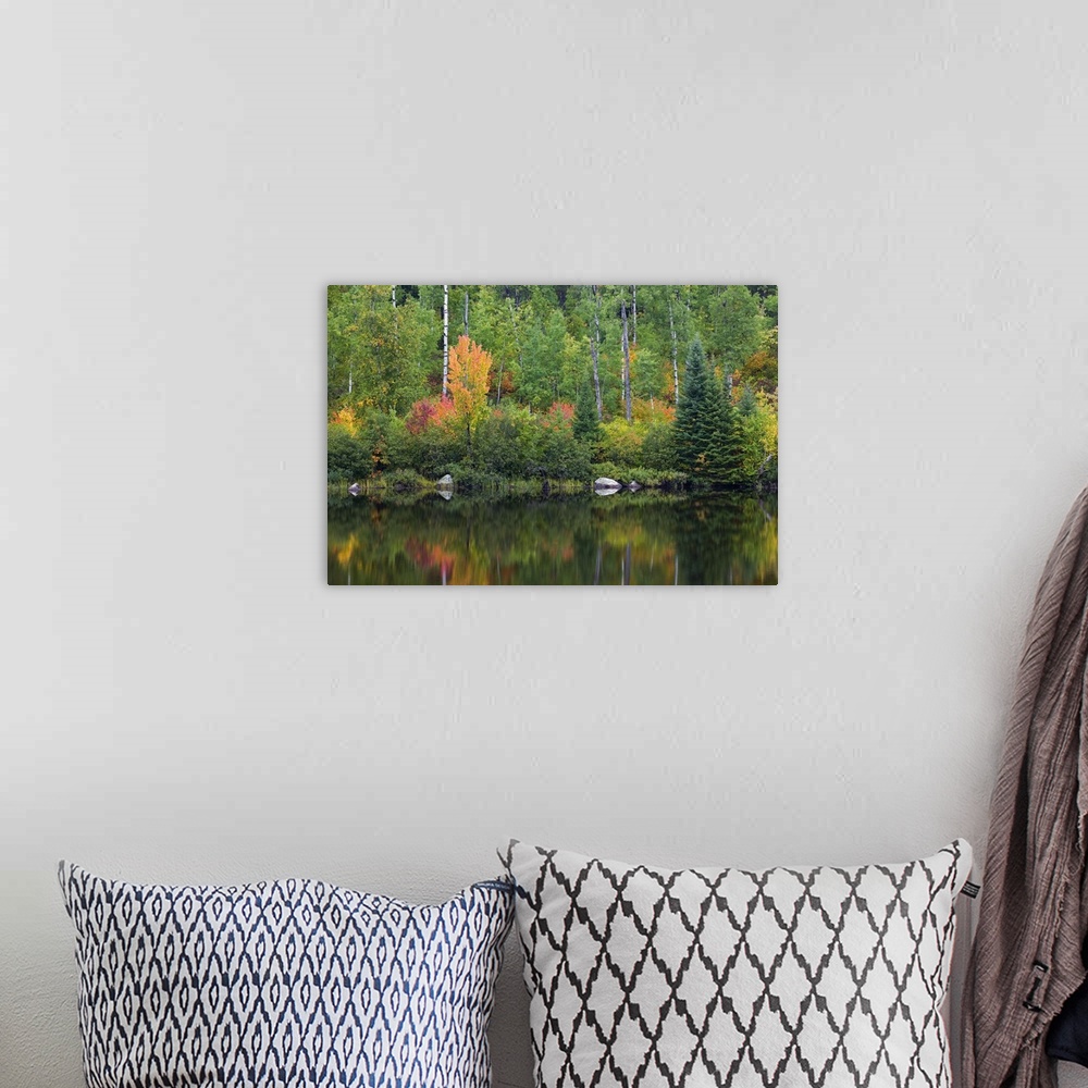 A bohemian room featuring Autumn color trees along Pike River, water reflection, Minnesota