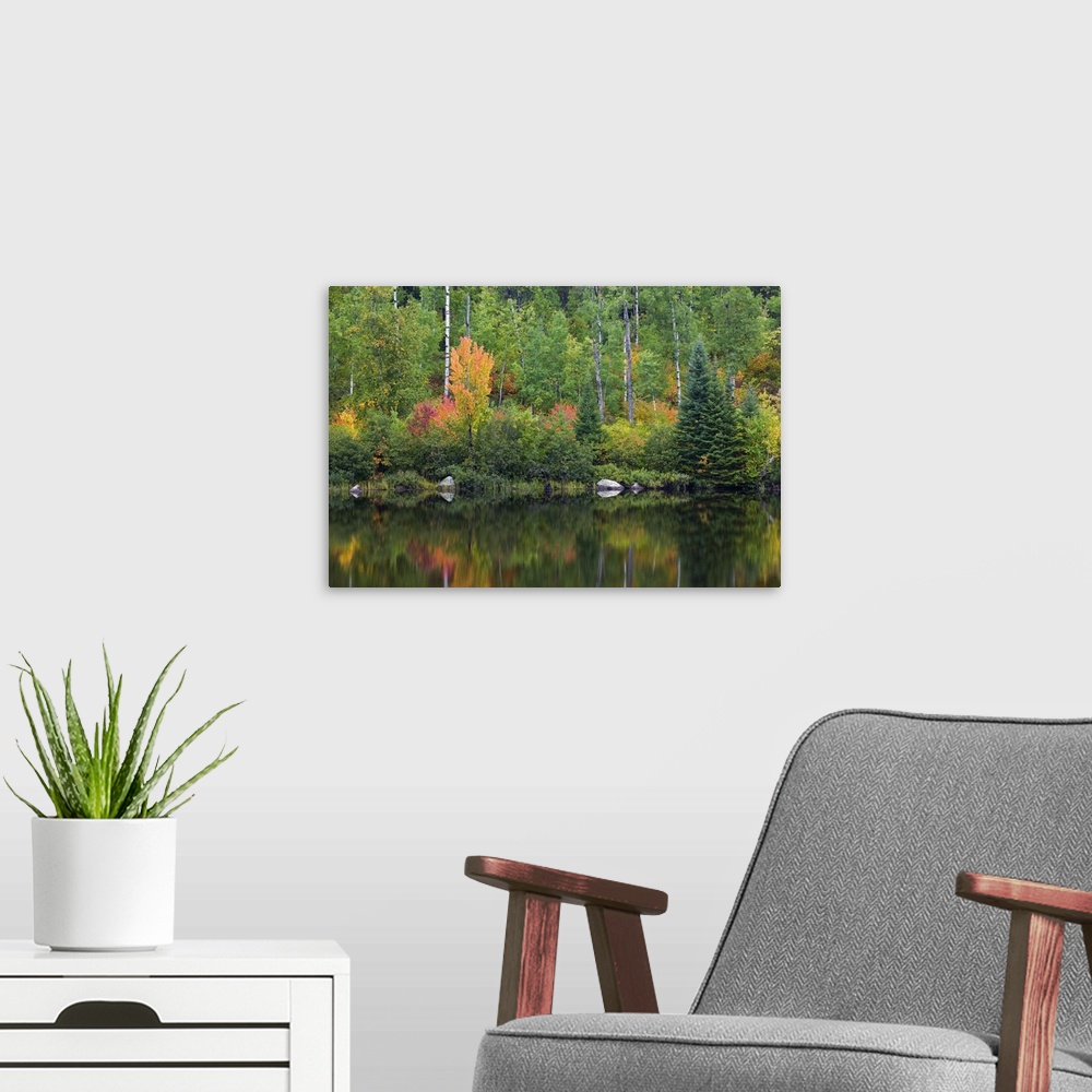 A modern room featuring Autumn color trees along Pike River, water reflection, Minnesota