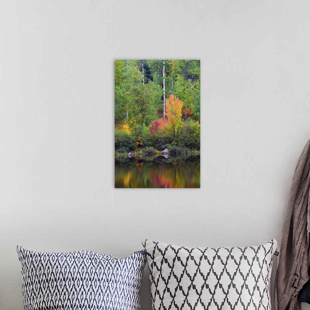 A bohemian room featuring Autumn color trees along Pike River, water reflection, Minnesota