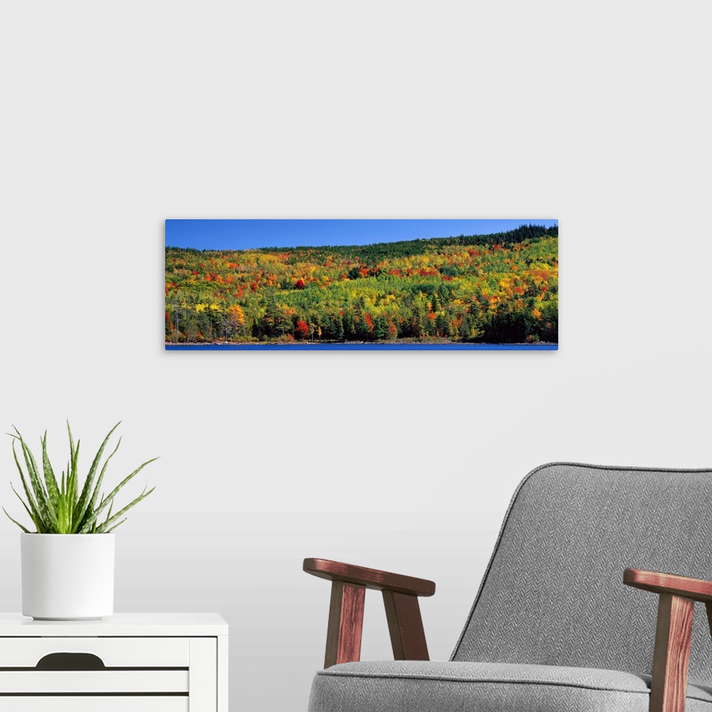 A modern room featuring Autumn Eagle Lake Acadia National Park ME