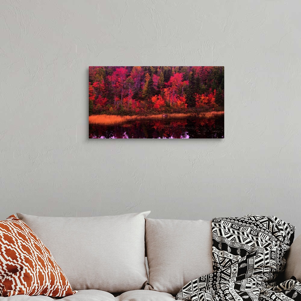 A bohemian room featuring Large, landscape photograph of a forest of fall foliage reflecting in calm waters.