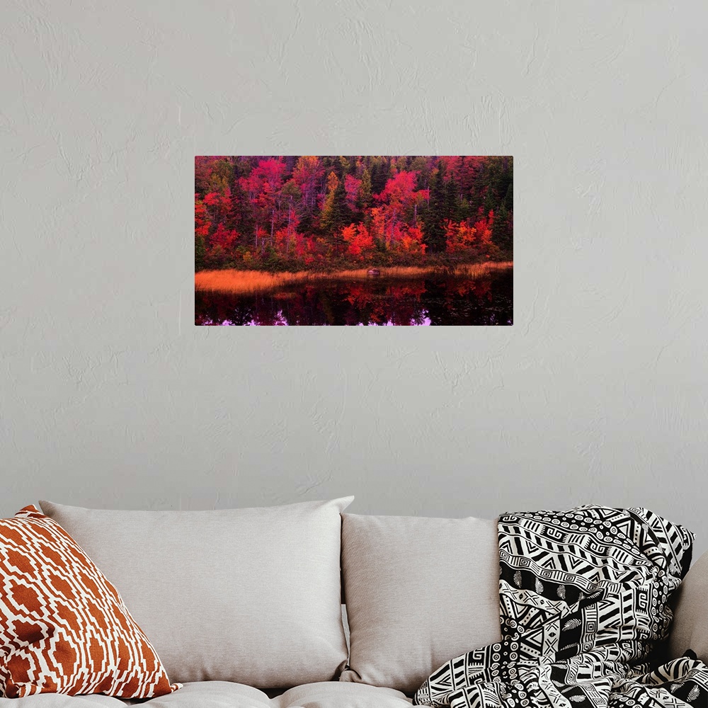 A bohemian room featuring Large, landscape photograph of a forest of fall foliage reflecting in calm waters.