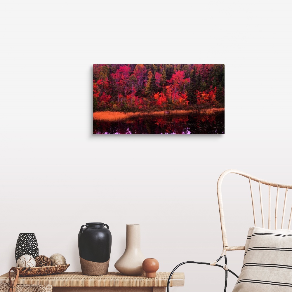 A farmhouse room featuring Large, landscape photograph of a forest of fall foliage reflecting in calm waters.