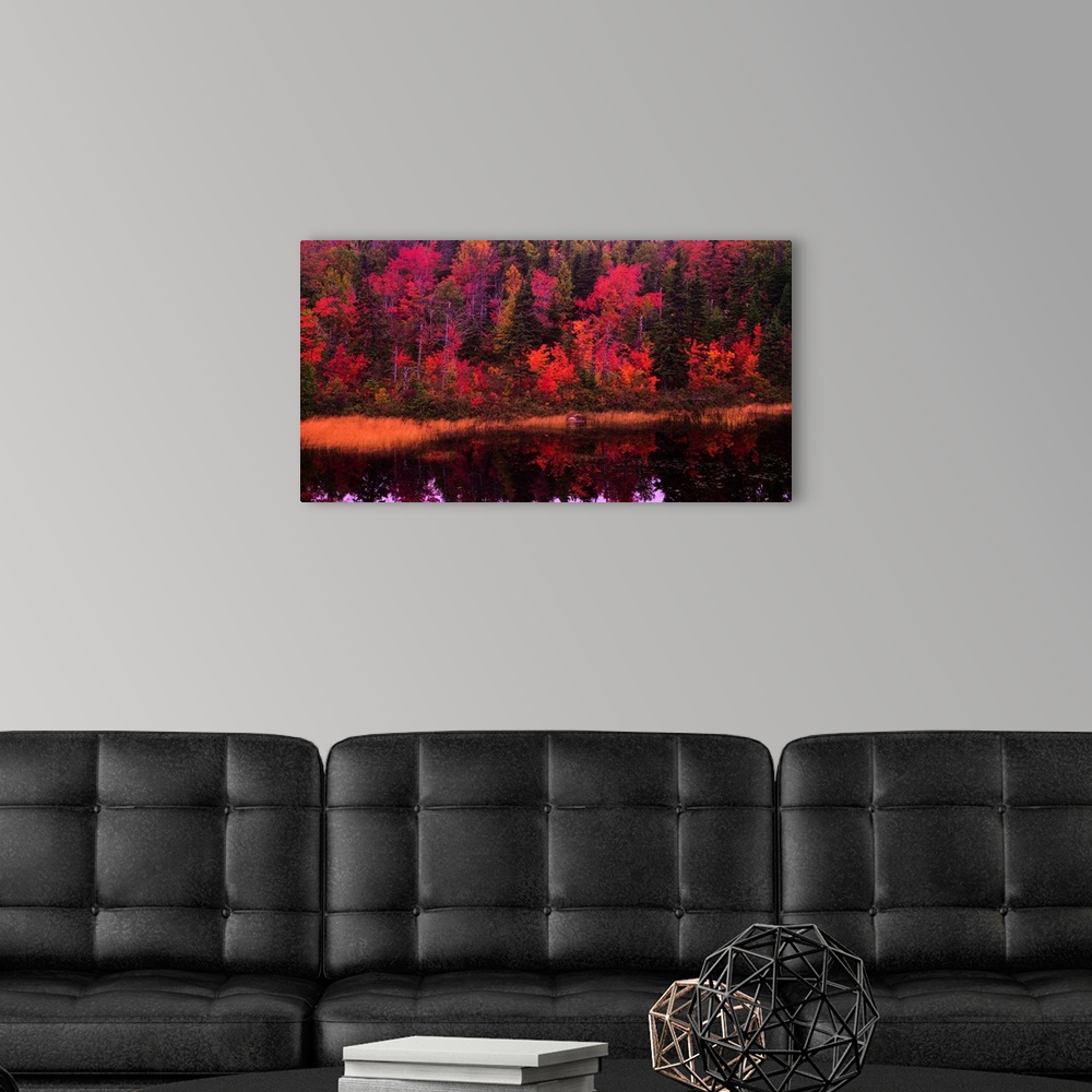 A modern room featuring Large, landscape photograph of a forest of fall foliage reflecting in calm waters.