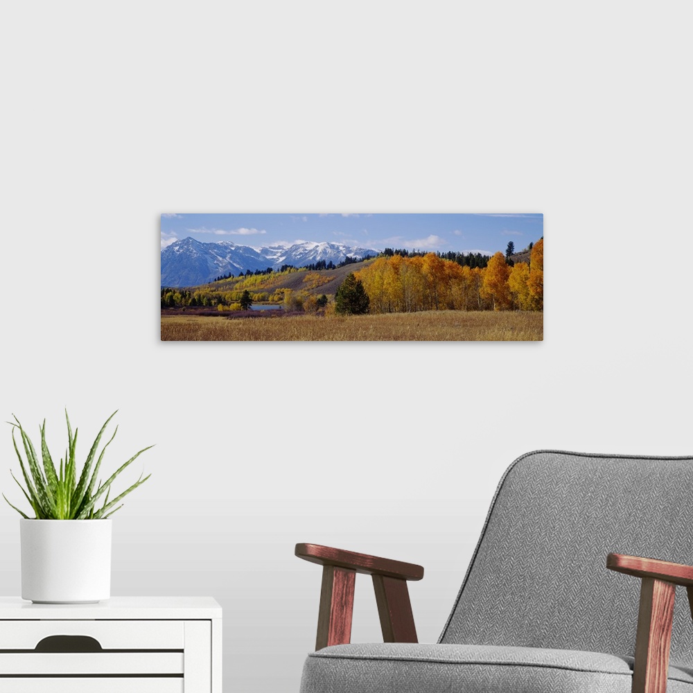 A modern room featuring Autumn Grand Teton National Park WY